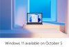 Windows 11.jpg