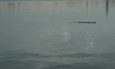 Снимок экрана 2026-06-20 в 17.12.48.jpg